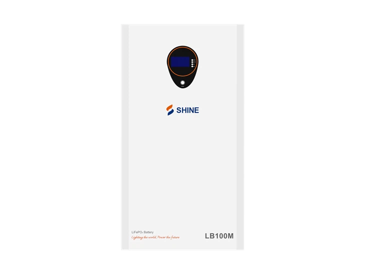 LB100M Wall Mounted Lithium Battery 51.2V 200AH